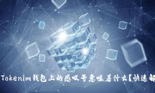 ### Tokenim钱包上的感叹号意味着什么？快速解决指南