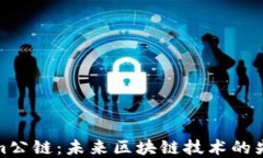 Tokenim公链：未来区块链技