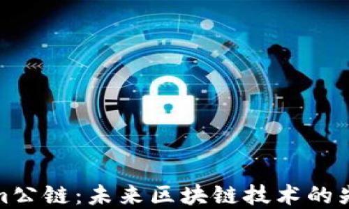 
Tokenim公链：未来区块链技术的先锋之路