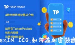了解TokenIM ICO：如何在加密