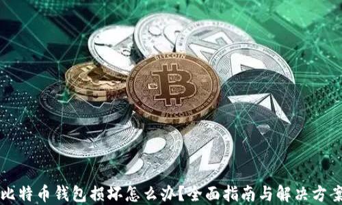 
比特币钱包损坏怎么办？全面指南与解决方案