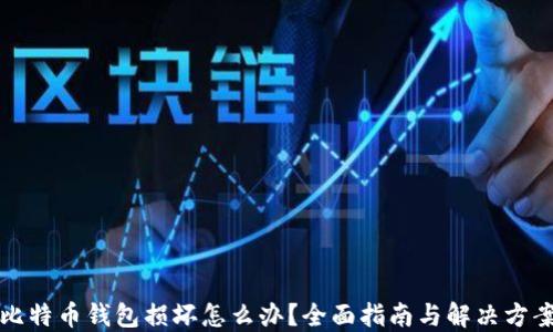 
比特币钱包损坏怎么办？全面指南与解决方案