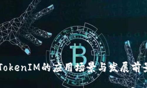 国内TokenIM的应用场景与发展前景分析