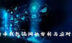 比特币钱包漏洞的分析与