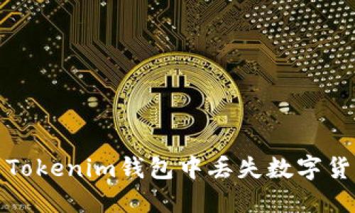 如何解决Tokenim钱包中丢失数字货币的问题