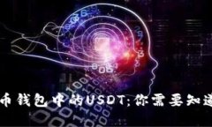 了解货币钱包中的USDT：你