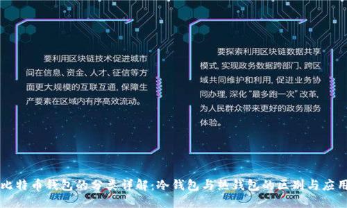 比特币钱包的分类详解：冷钱包与热钱包的区别与应用