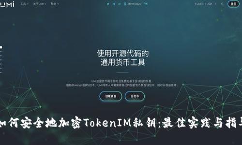 如何安全地加密TokenIM私钥：最佳实践与指导