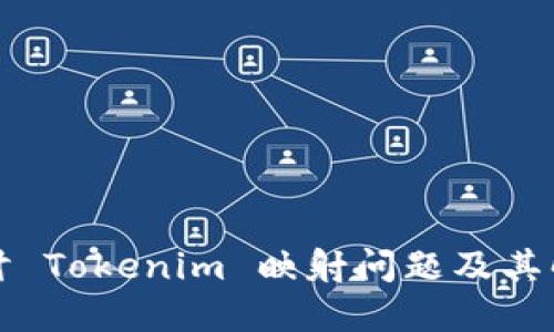 深入探讨 Tokenim 映射问题及其解决方案