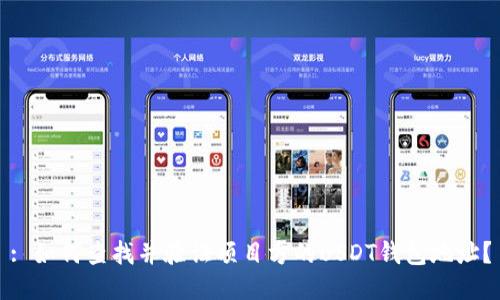 : 如何查找并验证项目方的USDT钱包地址？