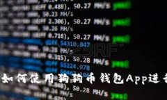 完整指南：如何使用狗狗