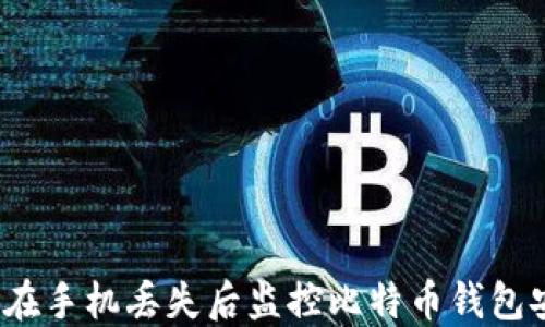 
如何在手机丢失后监控比特币钱包安全？