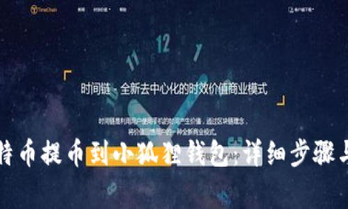 如何将比特币提币到小狐狸钱包：详细步骤与注意事项