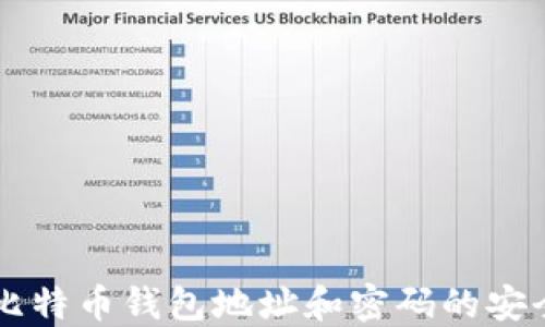 
了解比特币钱包地址和密码的安全管理