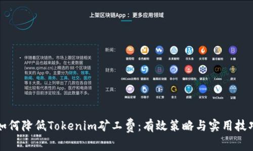 如何降低Tokenim矿工费：有效策略与实用技巧