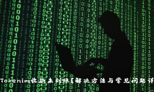 : Tokenim收款未到账？解决方法与常见问题详解