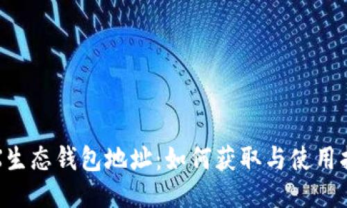 TRX生态钱包地址：如何获取与使用指南