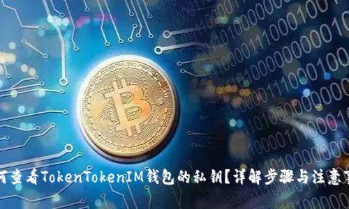 如何查看TokenTokenIM钱包的私钥？详解步骤与注意事项