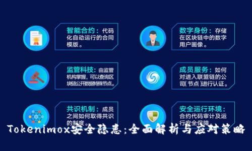 Tokenimox安全隐患：全面解析与应对策略