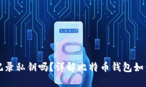 比特币钱包会记录私钥吗？详解比特币钱包如何安全管理私钥