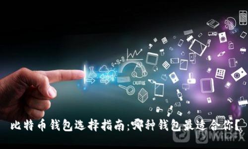 比特币钱包选择指南：哪种钱包最适合你？