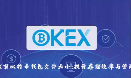 **如何裁剪比特币钱包文件大小：提升存储效率与管理便捷性