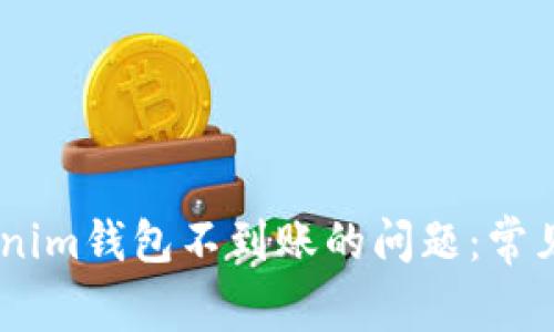 解决Token Tokenim钱包不到账的问题：常见原因与解决方案