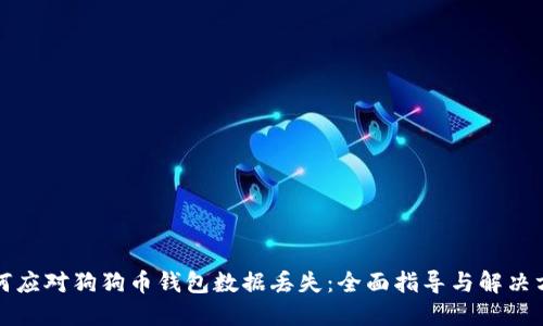 如何应对狗狗币钱包数据丢失：全面指导与解决方案