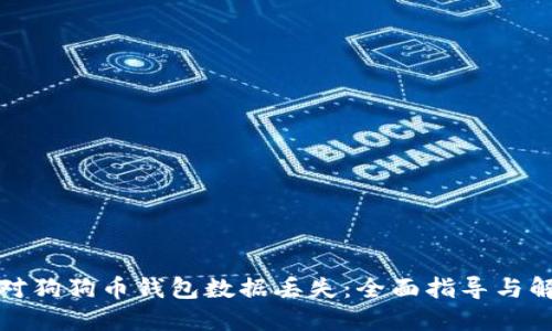 如何应对狗狗币钱包数据丢失：全面指导与解决方案