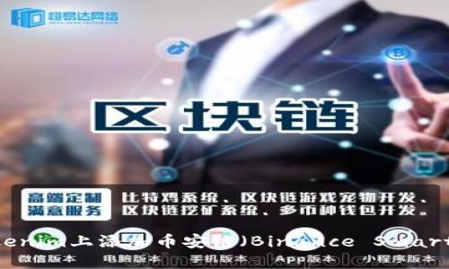 如何在Tokenim上添加币安链（Binance Smart Chain）？