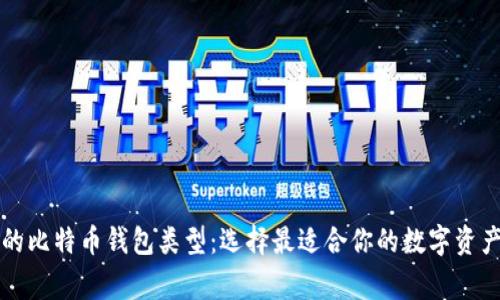 揭秘常见的比特币钱包类型：选择最适合你的数字资产存储方式