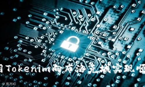 如何使用Tokenim向布洛克城实现顺利转账？