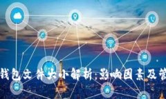 比特币钱包文件大小解析