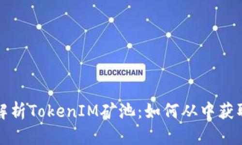全面解析TokenIM矿池：如何从中获取收益