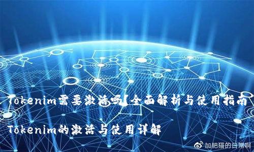 Tokenim需要激活吗？全面解析与使用指南

Tokenim的激活与使用详解