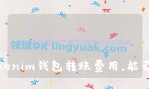 如何使用Tokentokenim钱包转账费用，能否用USDT进行支付？
