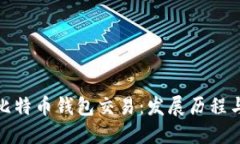 早期比特币钱包交易：发