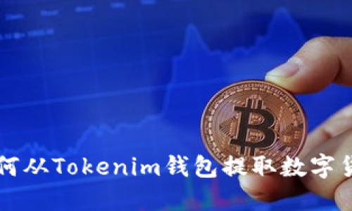 如何从Tokenim钱包提取数字货币