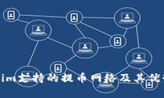 Tokenim支持的提币网络及其
