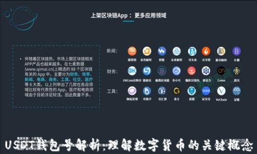 
USDT钱包号解析：理解数字货币的关键概念