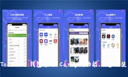 了解 Tokenim 钱包中的 Candy5：功能、优势及使用指南