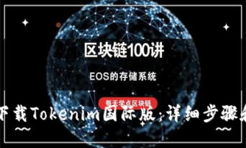 如何下载Tokenim国际版：详细步骤和指南