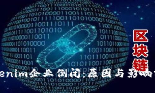 Tokenim企业倒闭：原因与影响分析
