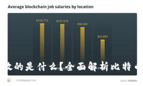 比特币钱包存放的是什么？全面解析比特币及其钱包类型
