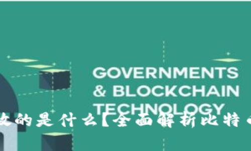 比特币钱包存放的是什么？全面解析比特币及其钱包类型