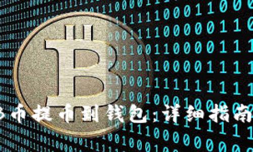 如何将SHIB币提币到钱包：详细指南与注意事项