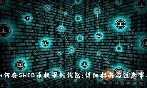 如何将SHIB币提币到钱包：详细指南与注意事项