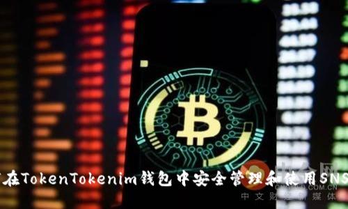 如何在TokenTokenim钱包中安全管理和使用SNS代币