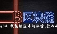 揭开 TokenTokenIM 钱包被盗币
