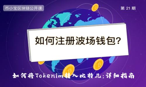 如何将Tokenim转入比特儿：详细指南